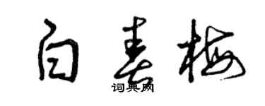 曾慶福白春梅草書個性簽名怎么寫
