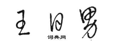 駱恆光王日男草書個性簽名怎么寫