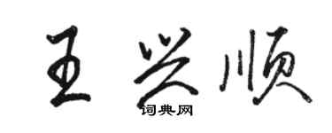 駱恆光王興順行書個性簽名怎么寫