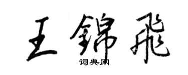王正良王錦飛行書個性簽名怎么寫