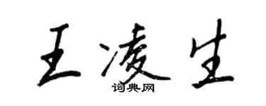 王正良王凌生行書個性簽名怎么寫