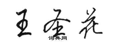 駱恆光王聖花行書個性簽名怎么寫