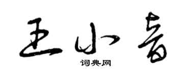 曾慶福王小音草書個性簽名怎么寫