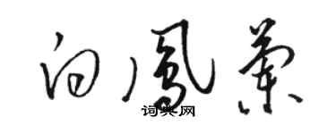 駱恆光白鳳蘭草書個性簽名怎么寫