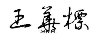 曾慶福王華標草書個性簽名怎么寫