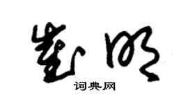 朱錫榮崔明草書個性簽名怎么寫