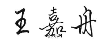 駱恆光王嘉舟行書個性簽名怎么寫