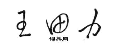 駱恆光王田力草書個性簽名怎么寫