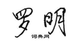 駱恆光羅明行書個性簽名怎么寫