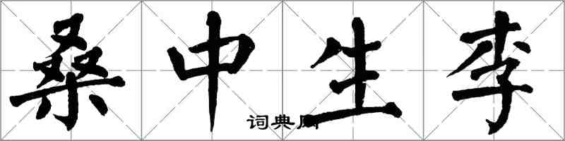 翁闓運桑中生李楷書怎么寫