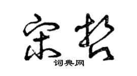 曾慶福宋哲草書個性簽名怎么寫