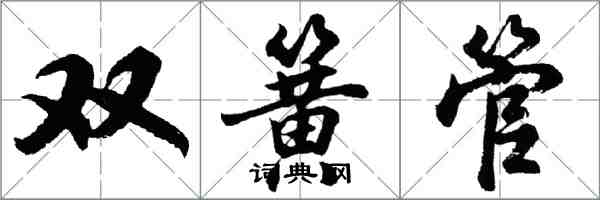 胡問遂雙簧管行書怎么寫