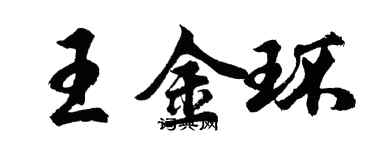 胡問遂王金環行書個性簽名怎么寫