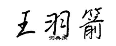 王正良王羽箭行書個性簽名怎么寫