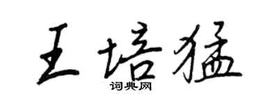 王正良王培猛行書個性簽名怎么寫