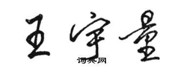 駱恆光王宇量行書個性簽名怎么寫