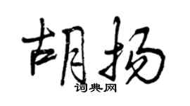 曾慶福胡揚行書個性簽名怎么寫