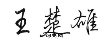 駱恆光王楚雄行書個性簽名怎么寫