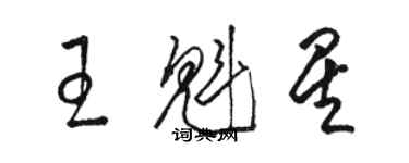 駱恆光王魁星草書個性簽名怎么寫