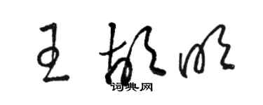 駱恆光王胡明草書個性簽名怎么寫