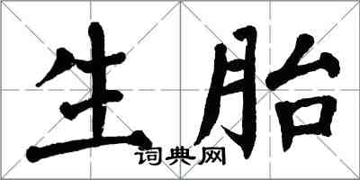 翁闓運生胎楷書怎么寫