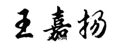 胡問遂王嘉揚行書個性簽名怎么寫