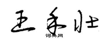 曾慶福王禾壯草書個性簽名怎么寫