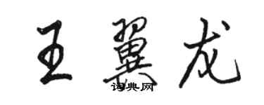 駱恆光王翼龍行書個性簽名怎么寫