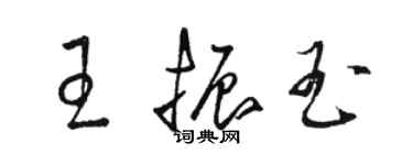 駱恆光王振玉草書個性簽名怎么寫