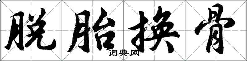 胡問遂脫胎換骨行書怎么寫