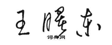 駱恆光王曙東草書個性簽名怎么寫