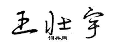 曾慶福王壯宇草書個性簽名怎么寫