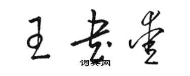 駱恆光王書愛草書個性簽名怎么寫