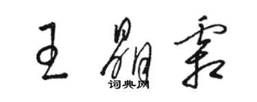 駱恆光王晶霜草書個性簽名怎么寫