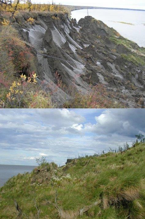 已滅絕的猛獁巨象或可復活