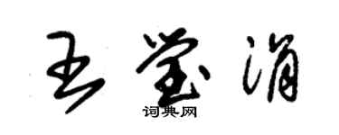 朱錫榮王瑩涓草書個性簽名怎么寫