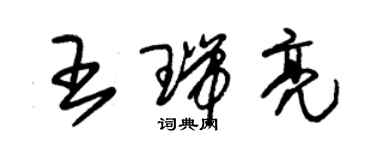 朱錫榮王瑞亮草書個性簽名怎么寫