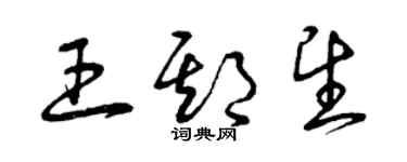 曾慶福王期望草書個性簽名怎么寫