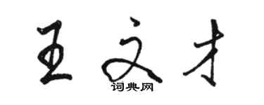 駱恆光王文才行書個性簽名怎么寫