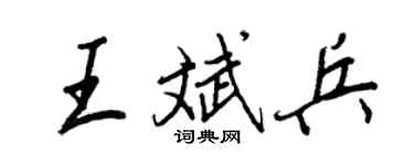 王正良王斌兵行書個性簽名怎么寫