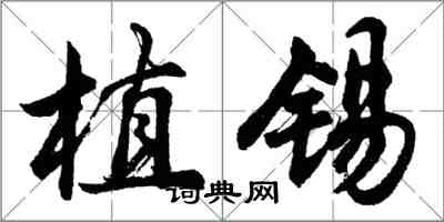 胡問遂植錫行書怎么寫