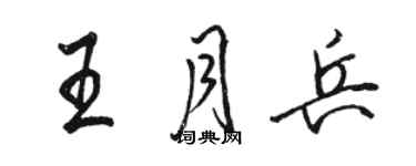 駱恆光王月兵行書個性簽名怎么寫