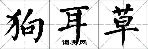 翁闓運狗耳草楷書怎么寫