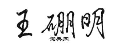 駱恆光王硼明行書個性簽名怎么寫
