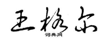 曾慶福王格爾草書個性簽名怎么寫