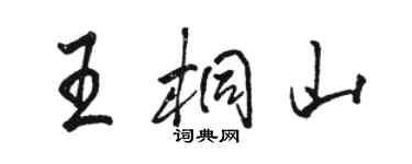 駱恆光王桐山行書個性簽名怎么寫