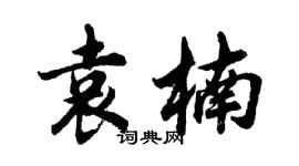 胡問遂袁楠行書個性簽名怎么寫