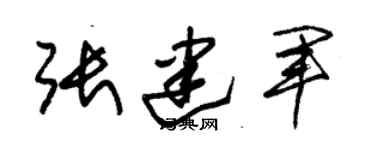 朱錫榮張建軍草書個性簽名怎么寫