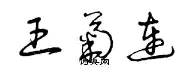 曾慶福王菊連草書個性簽名怎么寫