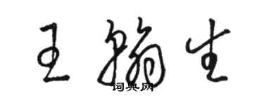 駱恆光王翰生草書個性簽名怎么寫